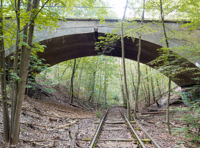 Die Brücke im Wald und die Gleise sind Überbleibsel der Friedhofsbahn.
