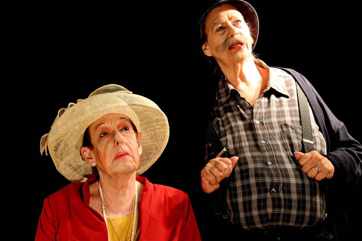 Der Besuch der alten Dame