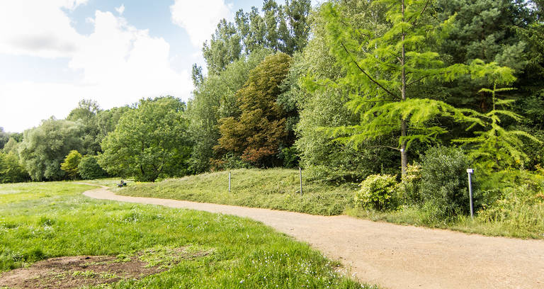 Naturgenuss, Entspannung und Information – der Naturlehrpfad rund um die Bäkewiese bietet vieles.