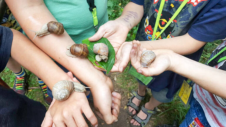 Naturerlebnis: Wie fühlen sich Schnecken auf der Haut an? Foto: R. Welzel, Staakkato Kinder und Jugend e. V.