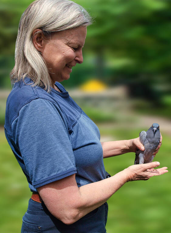 Vogelschützerin Dr. Almut Malone mit genesener Taube.