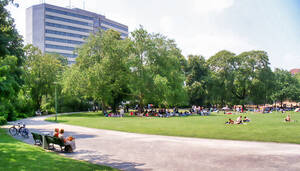 Preußenpark in Wilmersdorf. Foto: Bezirksamt