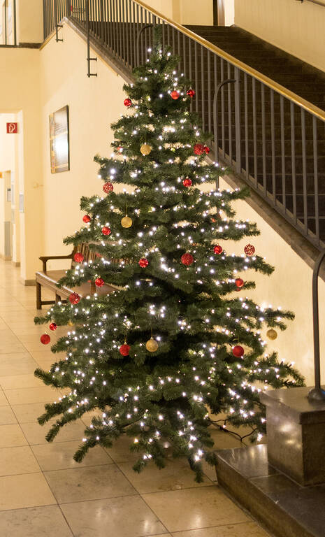 Der Weihnachtsbaum vom letzten Jahr im Foyer vom Rathaus Zehlendorf.