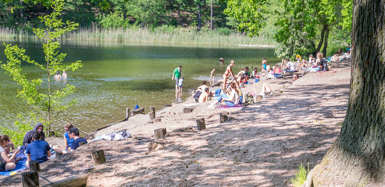 Sommerlicher Badespaß an der Krummen Lanke. Wo viele Interessen aufeinandertreffen, geht es nicht ohne Regeln.