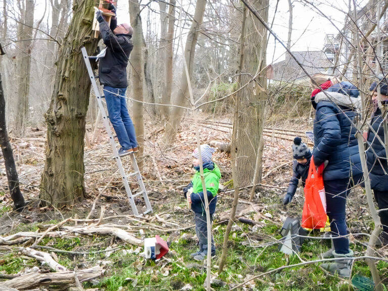 Rainer Mahrol von der Bürgerinitiative Lebenswertes Lichterfelde bringt einen der Nistkästen im Wäldchen an. Foto: Bürgerinitiative Lebenswertes Lichterfelde e. V.