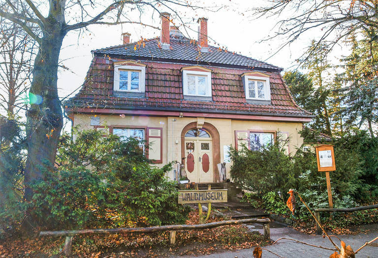 Berliner Waldmuseum Grunewald mit Waldschule.