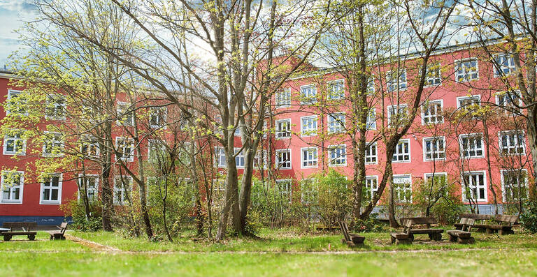 Zwischen den leerstehenden Bürokomplexen Lichterfelder Straße 12-17 ist noch viel Raum für Grün und Wildtiere.