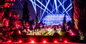 Botanische Nacht im Botanischen Garten Berlin. Foto: David Marschalsky