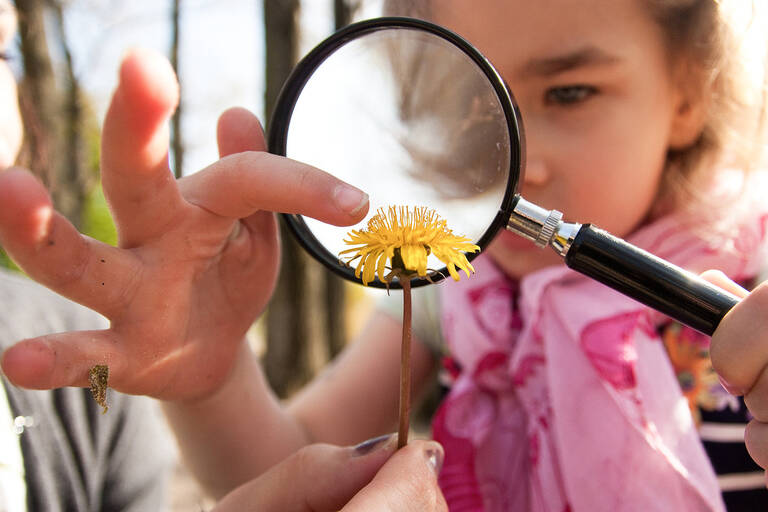 Natur mit Kinderaugen betrachten. Foto: Stiftung Naturschutz Berlin