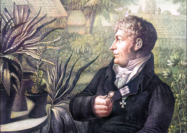 Carl Ludwig Willdenow um 1810.