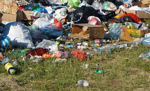 Vandalismus und Müll nehmen in den Grünanlagen des Bezirks dramatisch zu. Foto: Ariungoo Batzorig / Unsplash