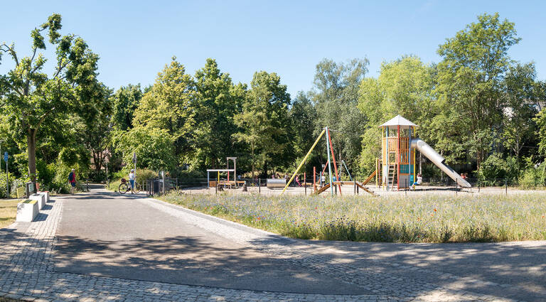 Spielplatz mit Wildblumenwiese – Spaß für Kinder und Lebensraum für Insekten ganz dicht beieinander.