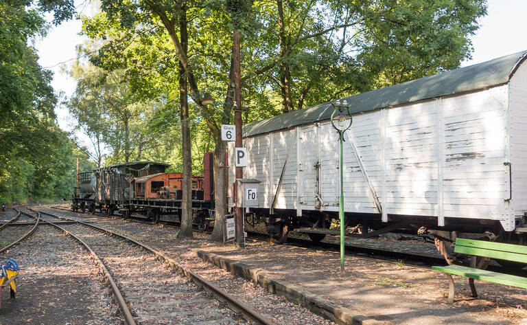 Historische Fahrzeuge auf dem Gelände des früheren Bahnhofs Schönow.