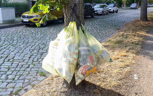 Schrauben im Baum – keine ideale Lösung für den gelben Sack. Foto: Dr. Achim Förster