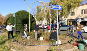 Rosenbeet Lichterfelde Ost. Foto: Ralf-Jürgen Krüger