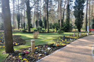Foto: Friedhof Treuhand Berlin