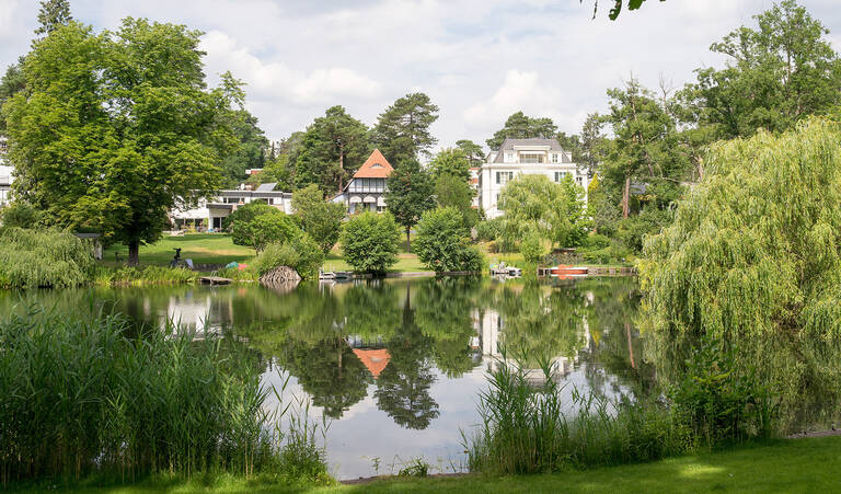 Die Idylle trügt – der Waldsee muss dringend entschlammt werden.