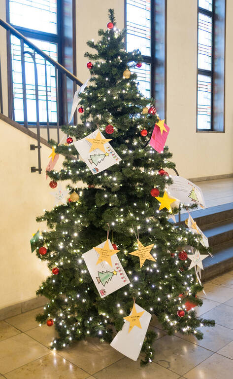 Auch im vorigen Jahr gab es den Wunschbaum im Rathaus Zehlendorf.