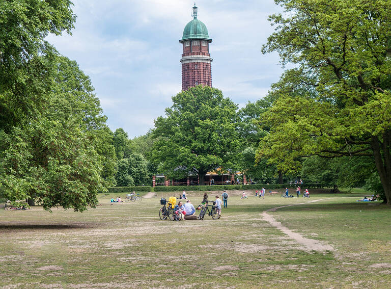 An der Wiesenfläche im Volkspark Jungfernheide werden Maßnahmen zur Regeneration durchgeführt.