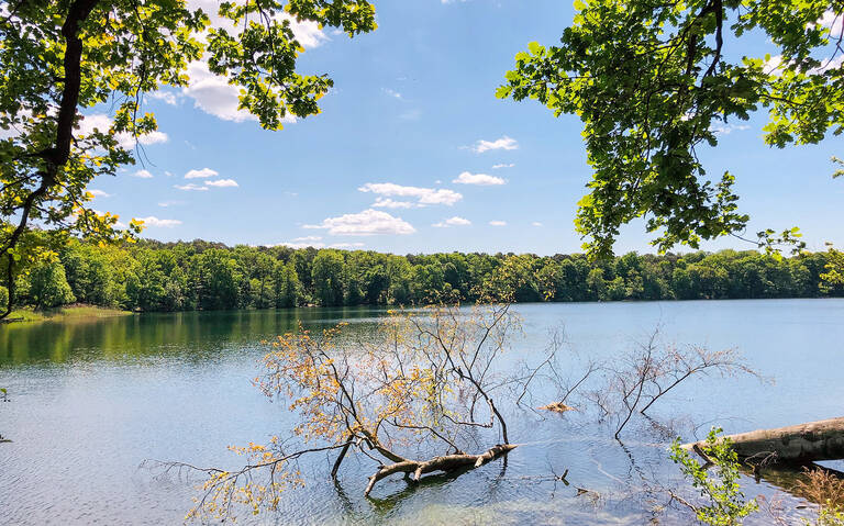 Der Schlachtensee - ein beliebtes Ausflugsziel. Foto: BA SZ