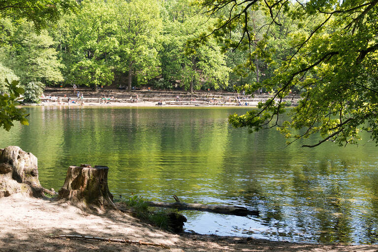 Strand an der Krumme Lanke.