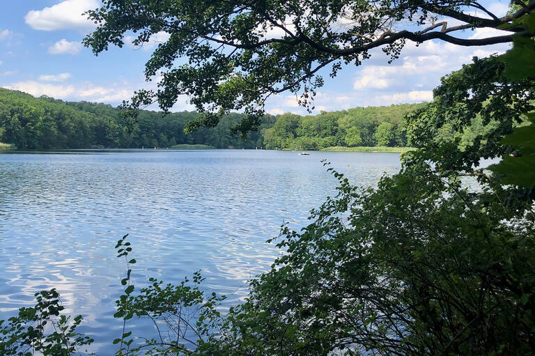 Schlachtensee. Foto: BA SZ