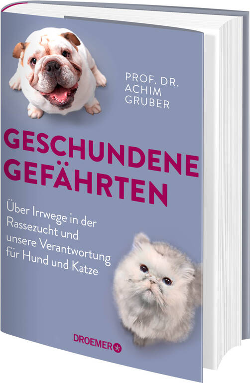 „Geschundene Gefährten“ von Prof. Dr. Achim Gruber, Droemer Verlag, ISBN 978-3-426-27908-3, 288 Seiten, für 21,- Euro im Buchhandel erhältlich. www.droemer-knaur.de/buch/9783426279083
