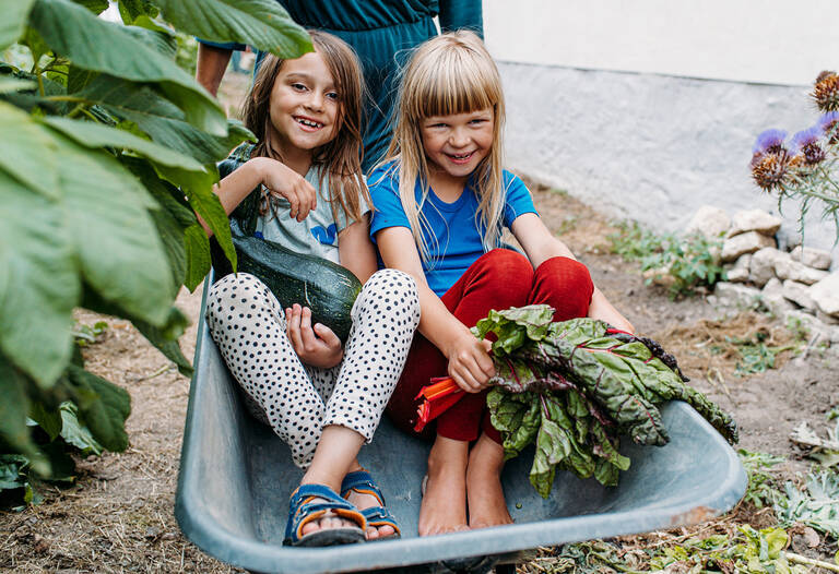 Tolle Ernte! Für seine mehrjährigen Bildungsprogramme an Kitas und Schulen hat Acker e. V. den Deutschen Nachhaltigkeitspreis gewonnen. Foto: Acker e. V./Nadine Stenzel