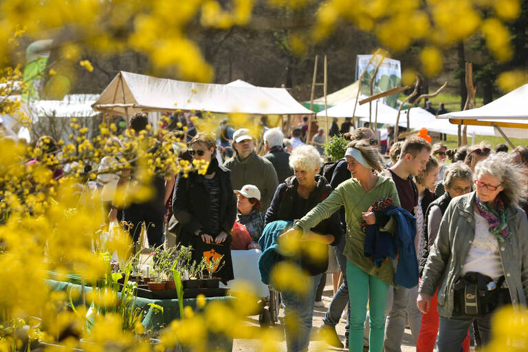 Der Berliner Staudenmarkt findet in diesem Jahr auf der Domäne Dahlem statt. Foto: Kerstin Zillmer