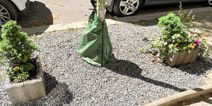 Gießsack für Bäume. Foto: BACW