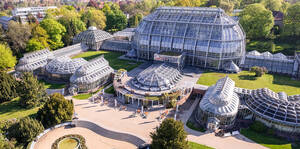 Im Botanischen Garten wird eine Arten-Rallye angeboten.  Foto: Jon A. Juárez / Botanischer Garten Berlin