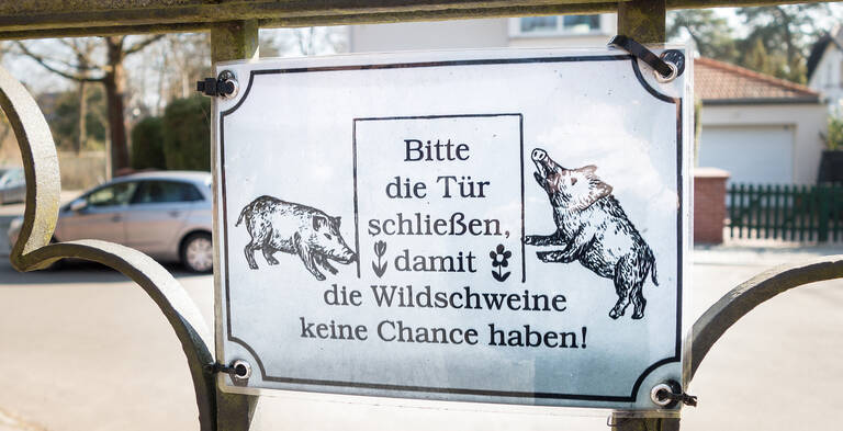 Bitte die Tür schließen, damit die Wildschweine keine Chance haben?