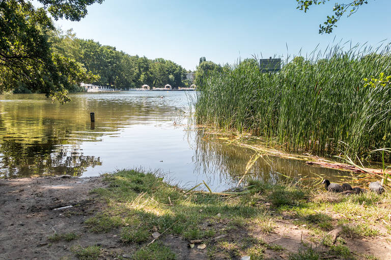 Blick aufs Wasser von der Liegewiese. Ein Schild weist auf das Badeverbot hin.