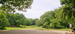 Volkspark Wilmersdorf: Blick vom „Hippie-Hügel“ auf den Park. Foto: BACW/Brühl
