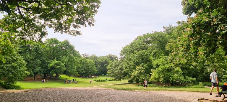 Volkspark Wilmersdorf: Blick vom „Hippie-Hügel“ auf den Park. Foto: BACW/Brühl