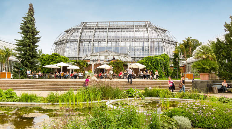 Feiern im Schatten des Großen Tropenhauses. Der Botanische Garten lädt im Sommer zu mehreren Festen ein.