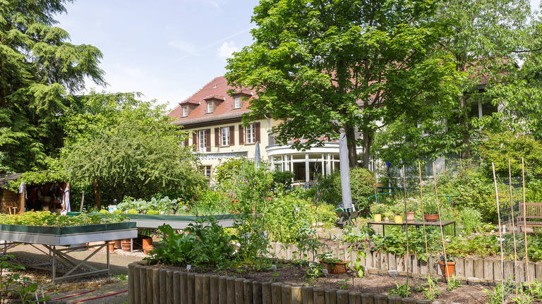 Der barrierefreie Garten der Villa Donnersmarck in Zehlendorf nimmt Teil an der Initiative der Offenen Gärten.