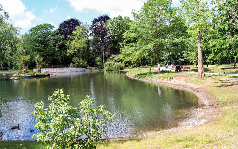 Renaturiert und saniert: Der Teich im Gemeindepark.