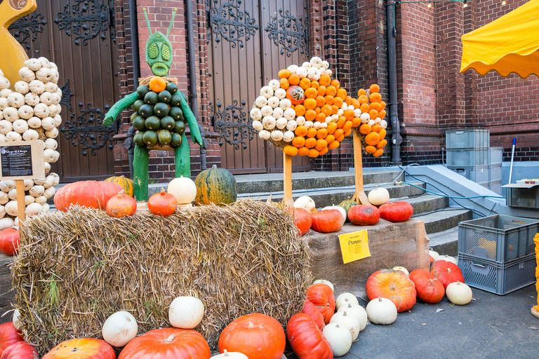 Auf dem Kürbisfest sind Kürbisse in vielen Farben und Formen zu sehen – auch als fantasievolle Figuren.