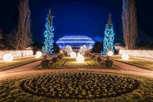 Der Botanische Garten in märchenhaftem Gewand. Foto: Sven Bayer