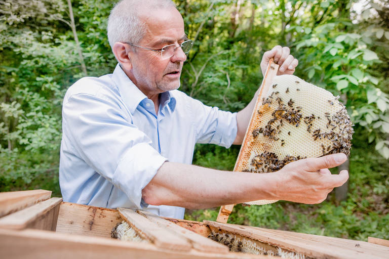 Thomas Radetzki bei seinen Bienen. Foto: Tobias Gerber