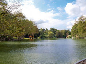 Der Waldsee – Regenrückhaltebecken und schützenswerte Naturoase zugleich.