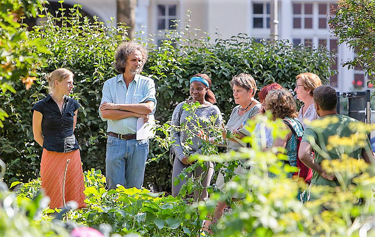 Bezirksstadtrat Oliver Schruoffeneger machte sich vor Ort ein Bild vom SeeGarten am Lietzensee. Foto: Sebastian Kringel