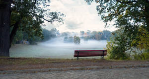 Herbstliche Rehwiese