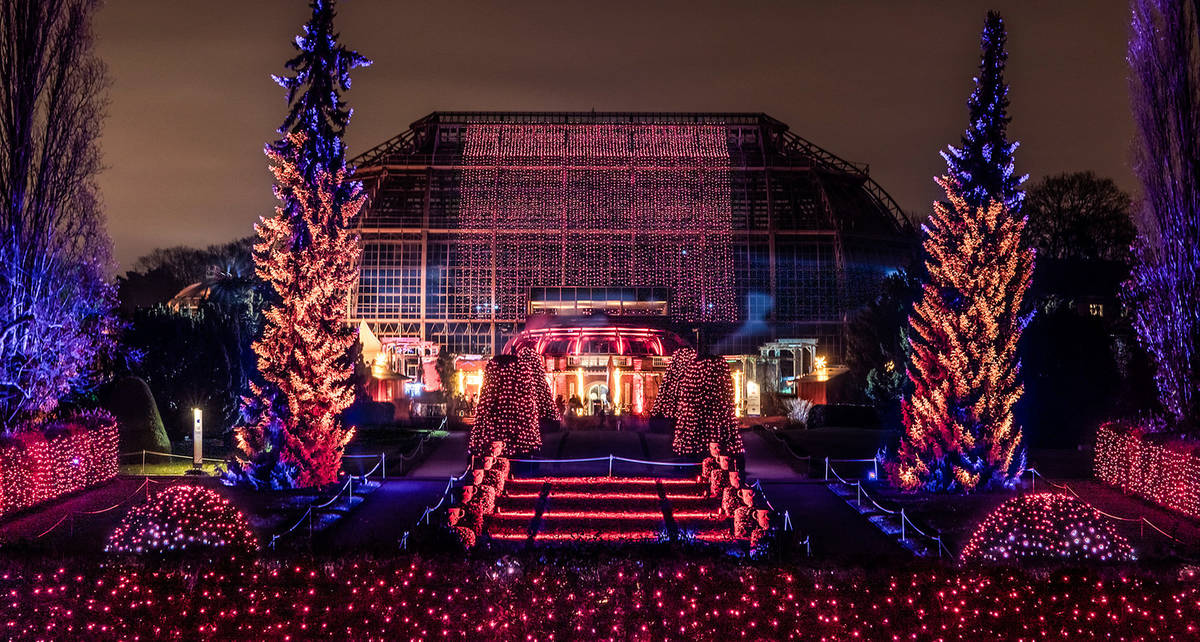 Weihnachtsvorfreude im Lichtermeer Christmas Garden im Botanischen Garten