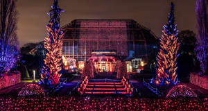 Großes Tropenhaus im Lichterglanz. Foto: Christmas Garden Deutschland