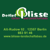 Detlef Blisse