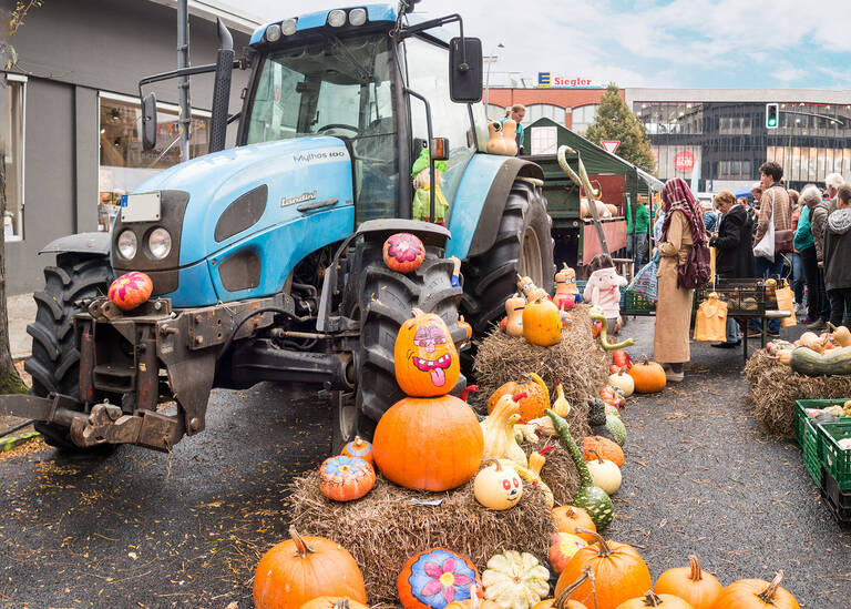 K&uuml;rbisse, so viele das Herz begehrt. Am 5. und 6.&nbsp;Oktober wird das K&uuml;rbisfest gefeiert.