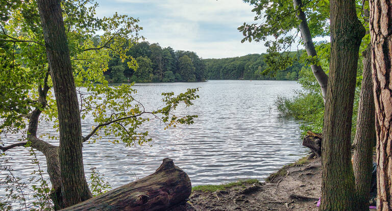Die Waldparkanlagen an Schlachtensee und Krumme Lanke sollen umgebaut werden.