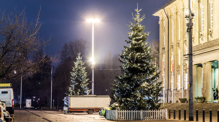 Weihnachtsbäume vor dem Rathaus Schöneberg.